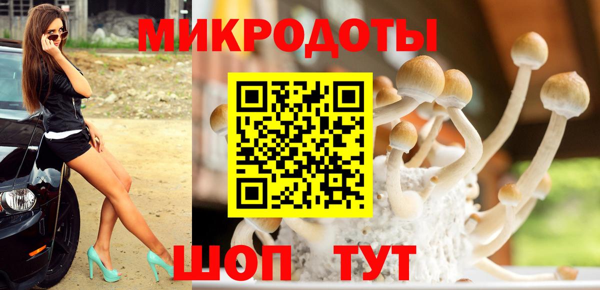 Галлюциногенные грибы GOLDEN TEACHER Гусиноозёрск